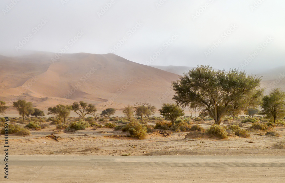 Namib desert in Namibia