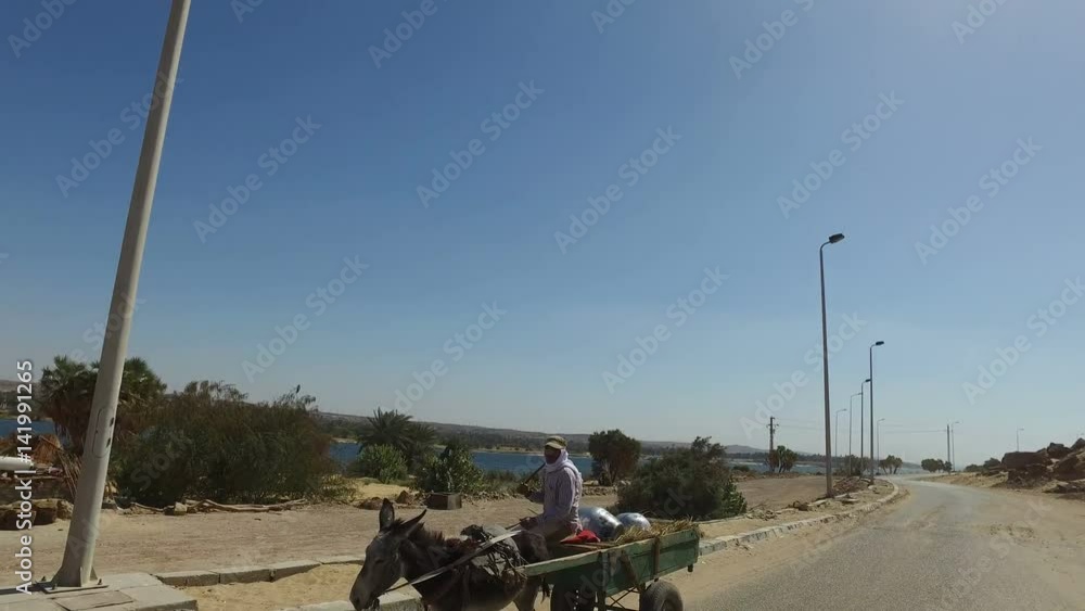 ASWAN, EGYPT - FEBRUARY 7, 2016: Local man riding a donkey cart, Egypt ASWAN, EGYPT - FEBRUARY 7, 2016: Local man riding a donkey cart, Egypt