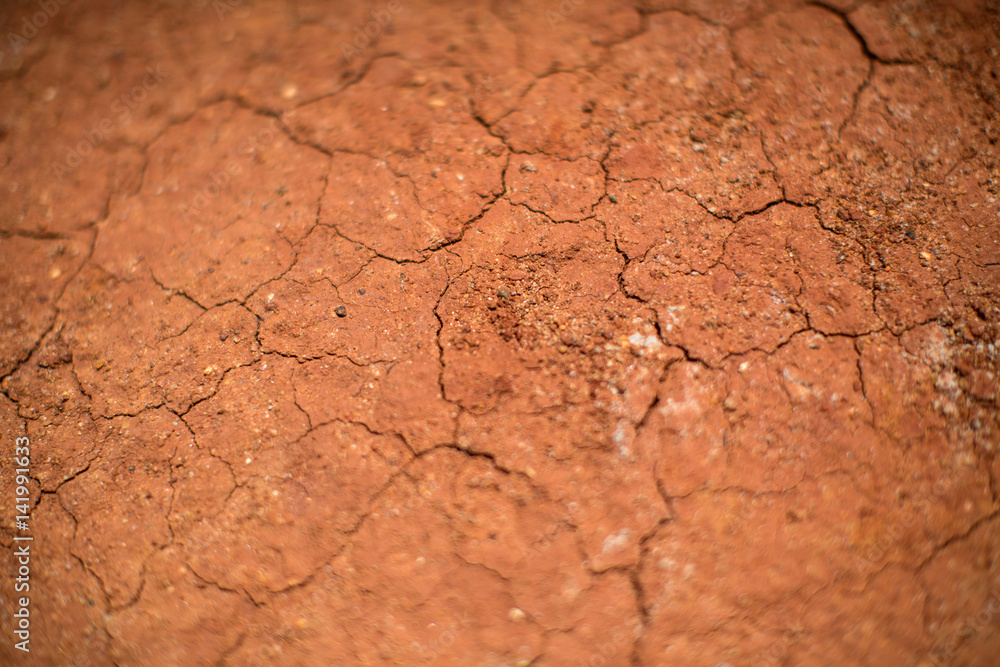 Cracked Red Earth, Australia
Cracked Red Earth, Australia