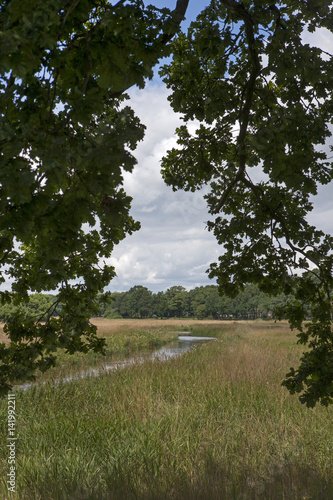 River Reest Netherlands. Reestdal Drente Overijssel Netherlands. Summer.  photo