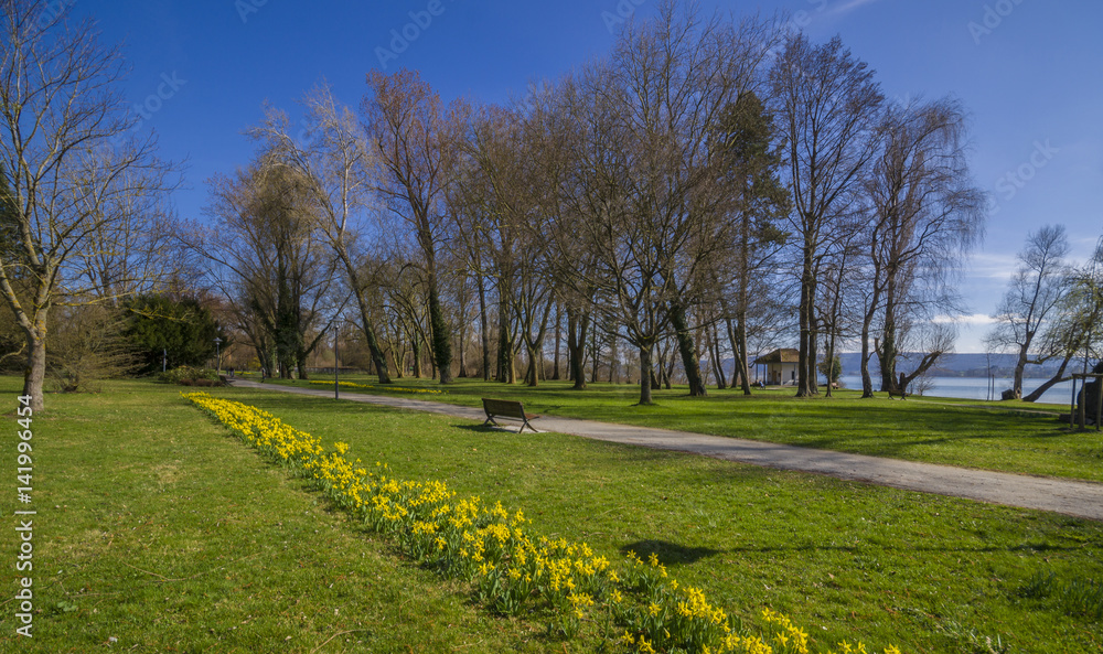 Radolfzell Mettnau Park im Frühling 