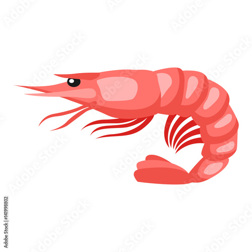 Cooked tiger shrimp. Isolated illustration of seafood on white background