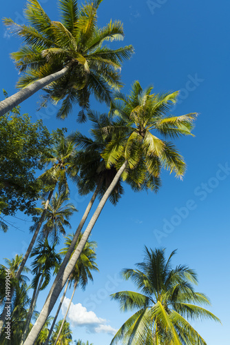 landscape view of tropical forest in Thailand, nature image for use about background or wallpaper