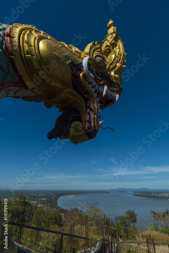 serpent king or king of nag...