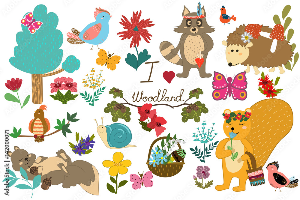 Set with forest animals and birds. Funny squirrel, raccoon, hedgehog, butterflies and plants. Hand-drawn Cartoon... Vector illustration Set with forest animals and birds. Funny squirrel, raccoon, hedgehog, butterflies and plants. Hand-drawn Cartoon... Vector illustration