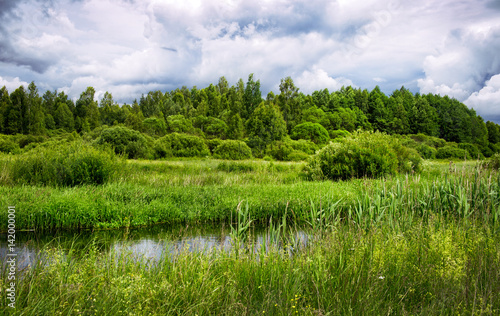 The river flows through the Belarus meadows in summer