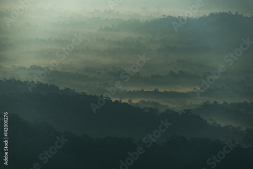 view of tropical forest landscape sunset © chokniti
