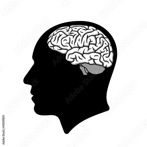 Human head silhouette with brain illustration