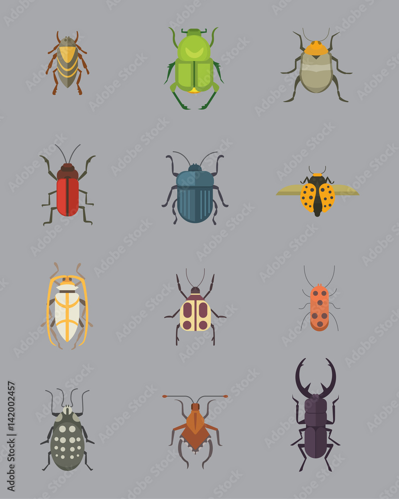 Set of insects flat style vector design icons. Collection nature beetle and zoology cartoon illustration. Bug icon wildlife concept Set of insects flat style vector design icons. Collection nature beetle and zoology cartoon illustration. Bug icon wildlife concept