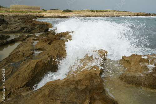 Riserva naturale Vendicari photo