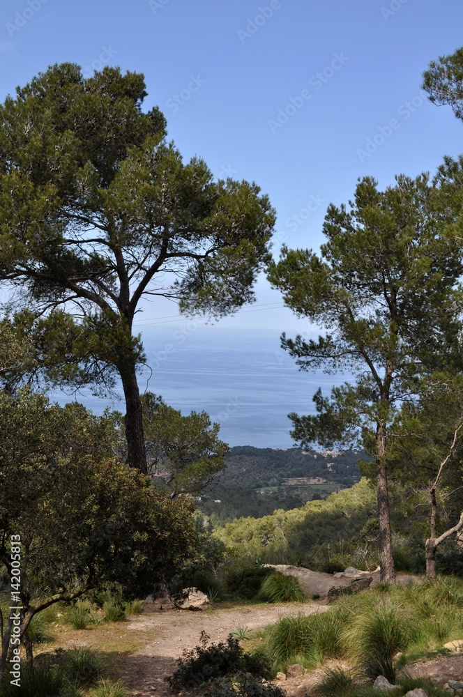 Vue sur la mer, Majorque