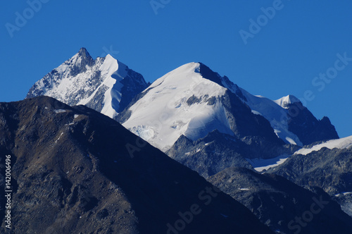 Schweizer Alpen: Sicht vom Muotas Muragl im Oberengadin auf den Piz Bernina photo