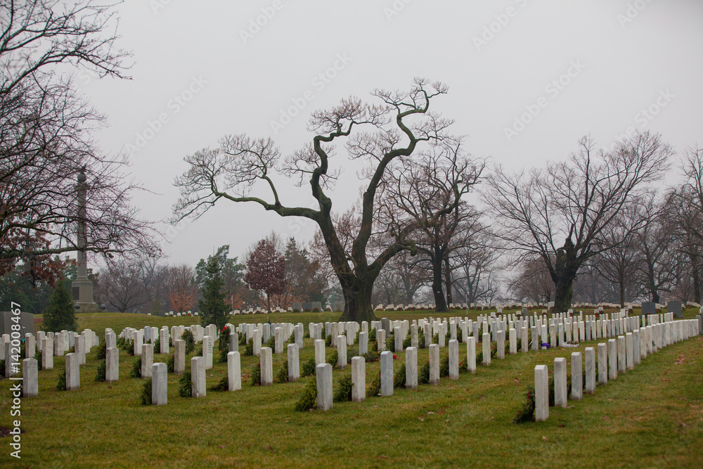 Gravestones with Christmas wreaths in Arlington National Cemetery - Washington DC United States