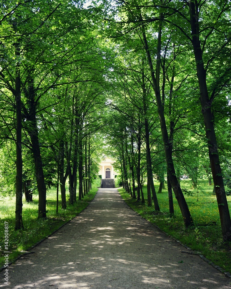 Friedhof in Weimar Thüringen Friedhof in Weimar Thüringen