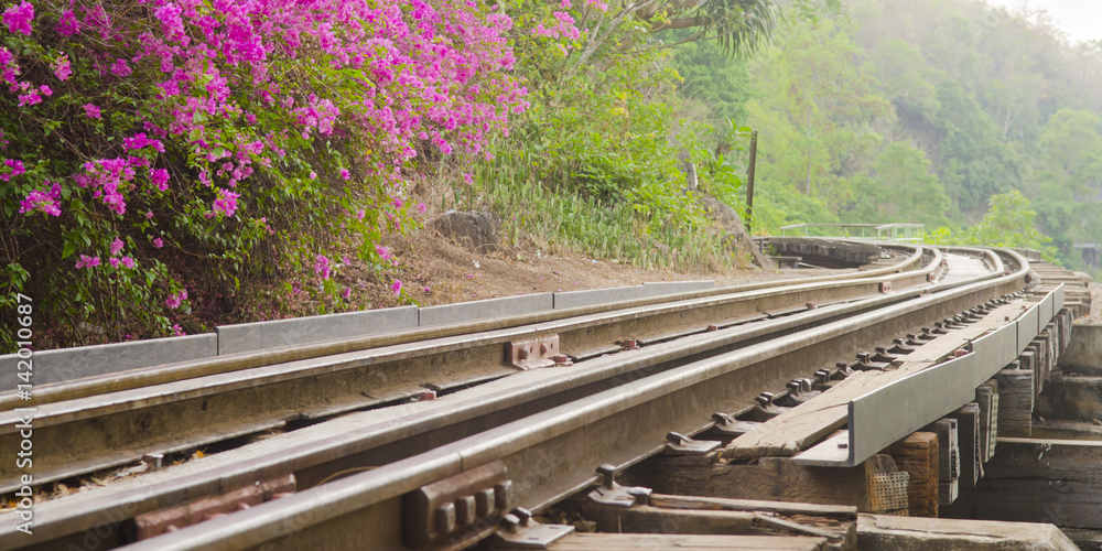 Obraz premium Railroad track