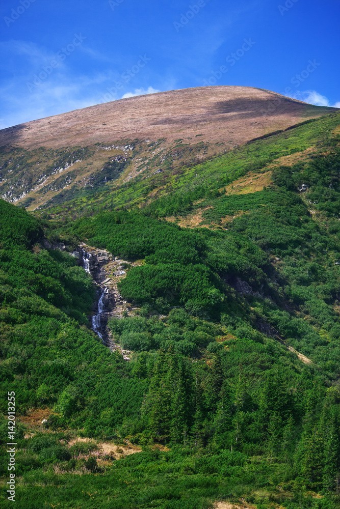 Fototapeta premium mountain river blue sky green grass on the mountains