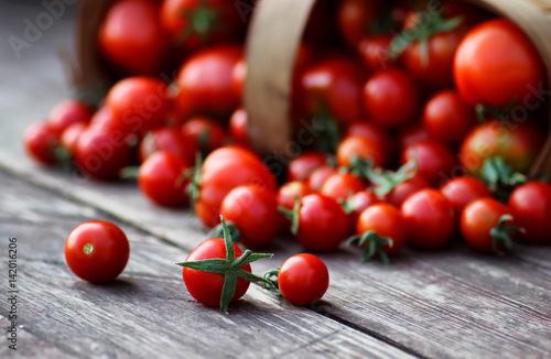 basket harvest fresh tomato 