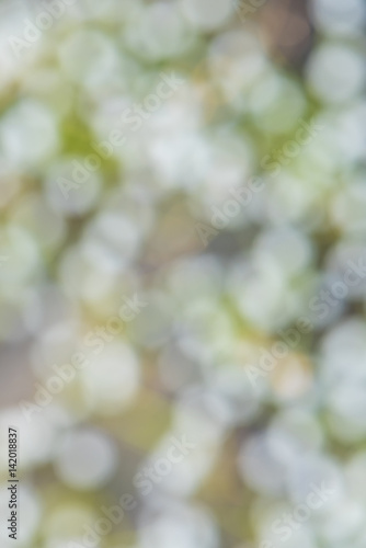 abstract blur background of...