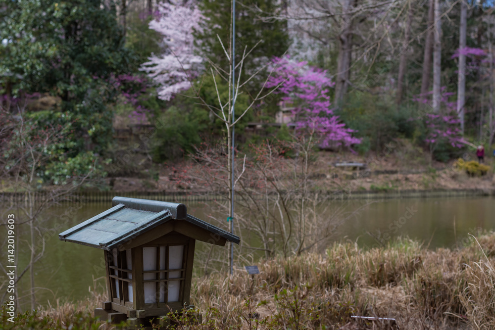 Spring garden scene at Duke Gardens in Durham, NC.