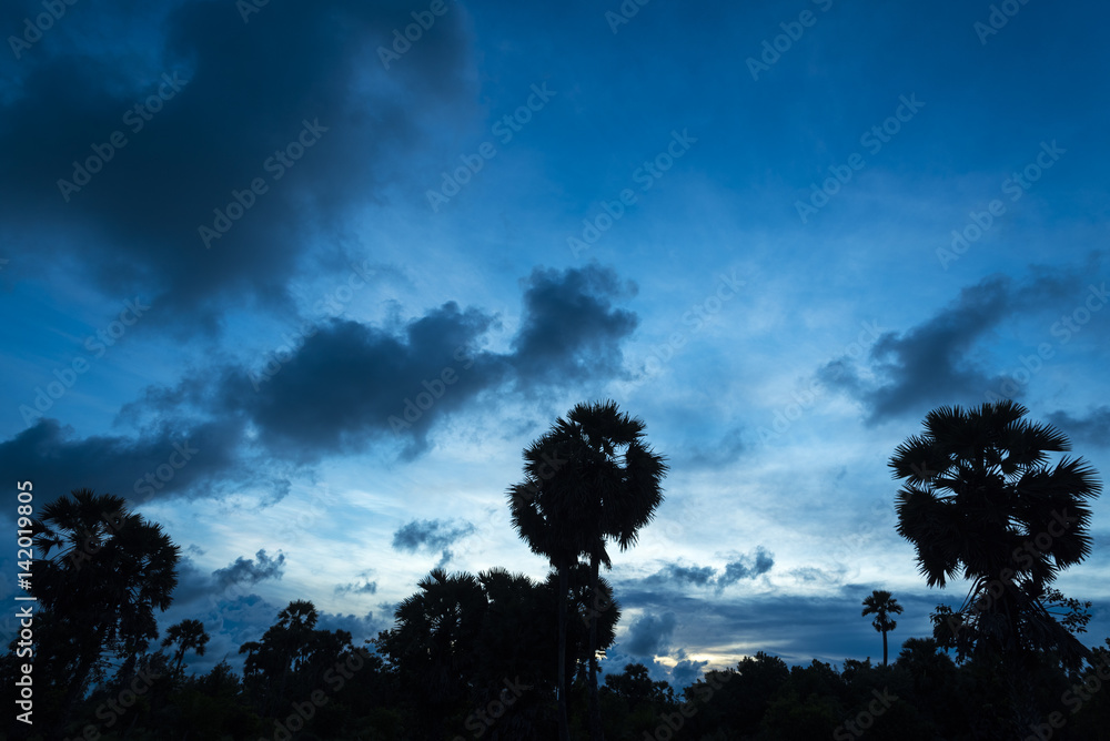 palm tree sunset, twilight time palm tree sunset, twilight time