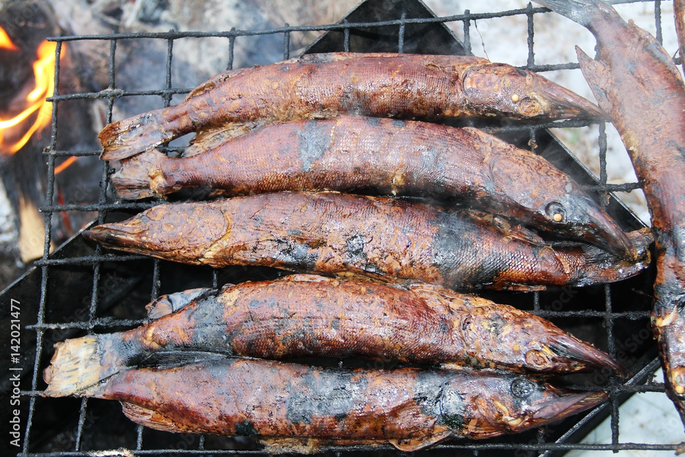 Smoked fish pike in smokehouse.