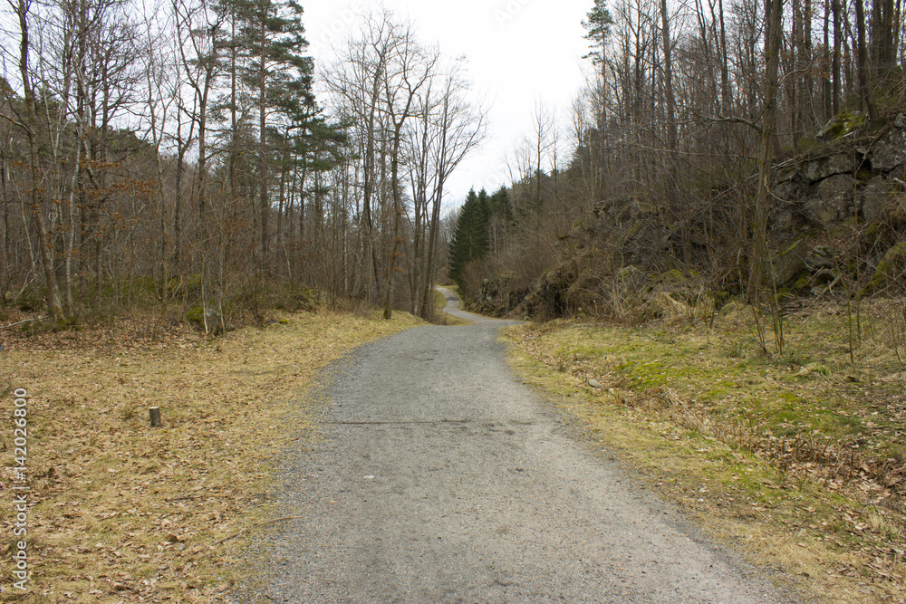 Walking path through a forest in southern Norway. Early spring colored forest. Walking path through a forest in southern Norway. Early spring colored forest.