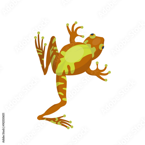 Frog cartoon tropical brown animal cartoon nature icon funny and isolated mascot character wild funny forest toad amphibian vector illustration.