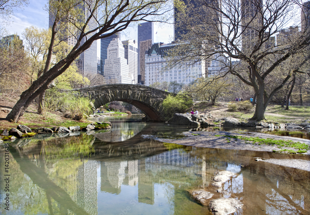 Naklejka premium Gapstow Bridge in Spring