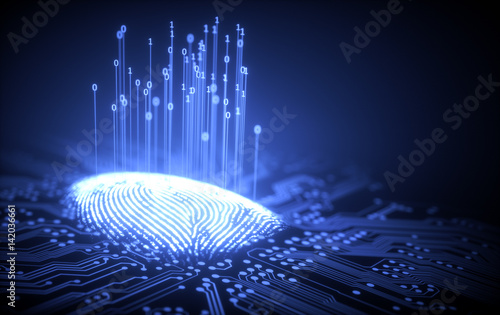 Fingerprint Binary Microchip photo