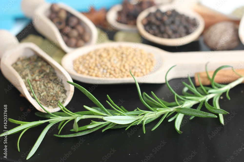 spices and herbs, spice, herb, pepper, garlic, mustard, clove, allspice, nutmeg, anise, anise star seed, chili, dried chilis, bay leaf, cinnamon, spices and herbs, spice, herb, pepper, garlic, mustard, clove, allspice, nutmeg, anise, anise star seed, chili, dried chilis, bay leaf, cinnamon,