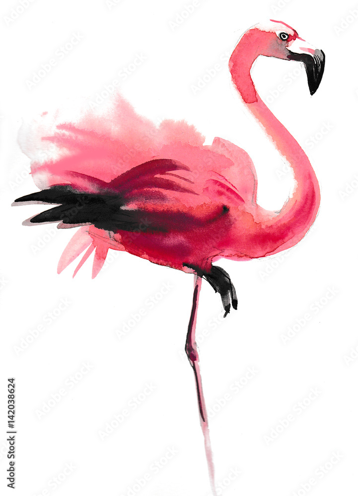 Fototapeta Akwarela flamingo