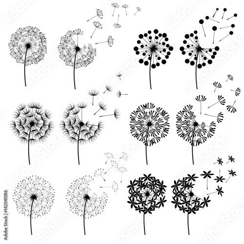 Abstract Dandelions for spring season
