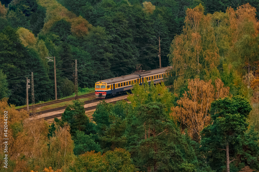 Fototapeta premium Passenger electric train moving through the forest in Riga