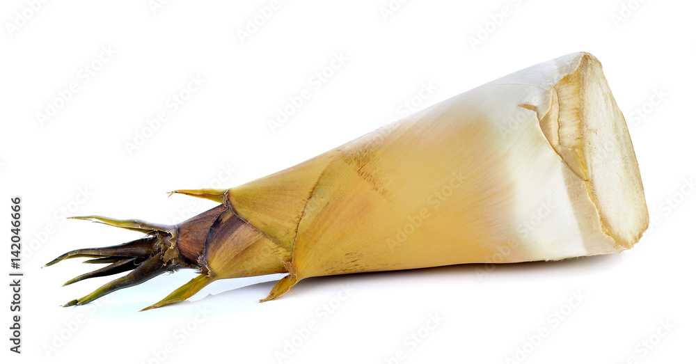 Bamboo shoot on white background Bamboo shoot on white background