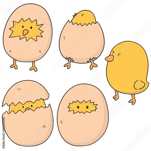 vector set of chick