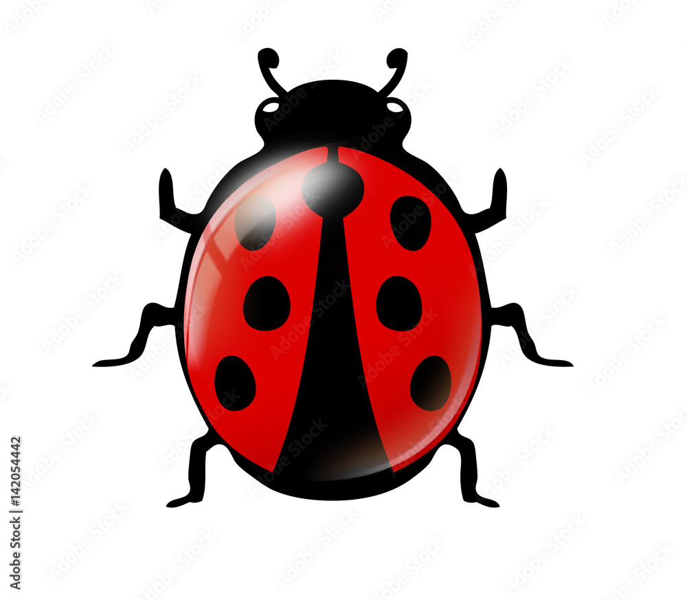 Obraz premium Biedronka