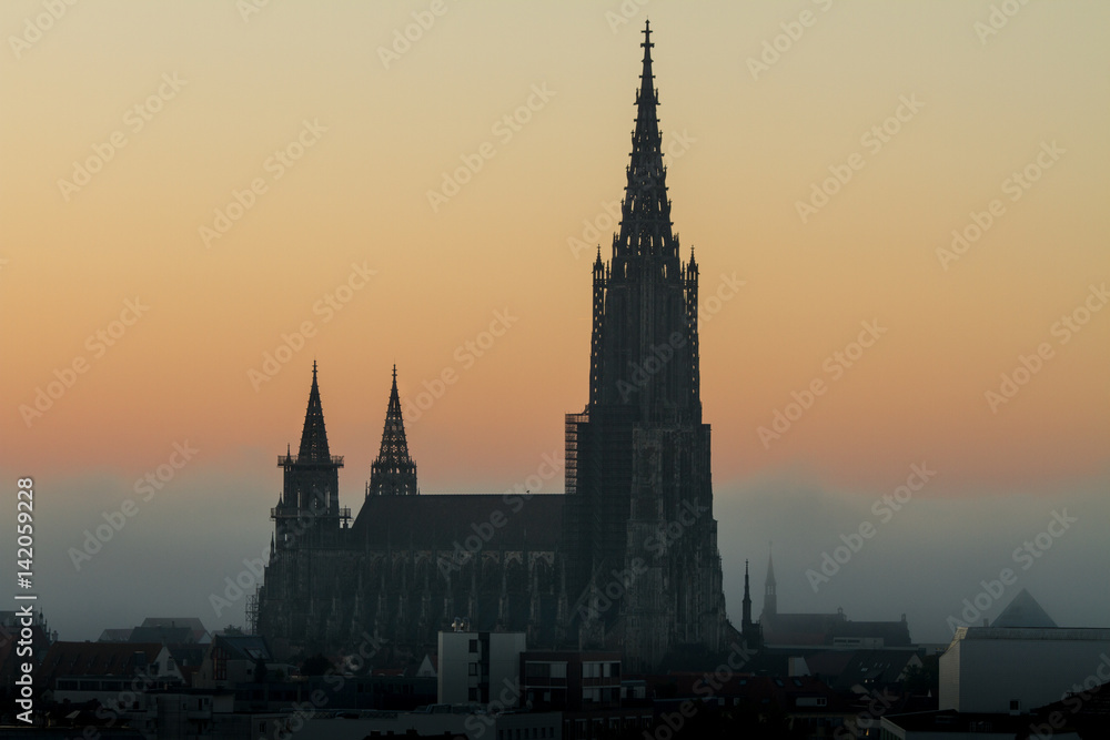 Naklejka premium Ulmer Münster