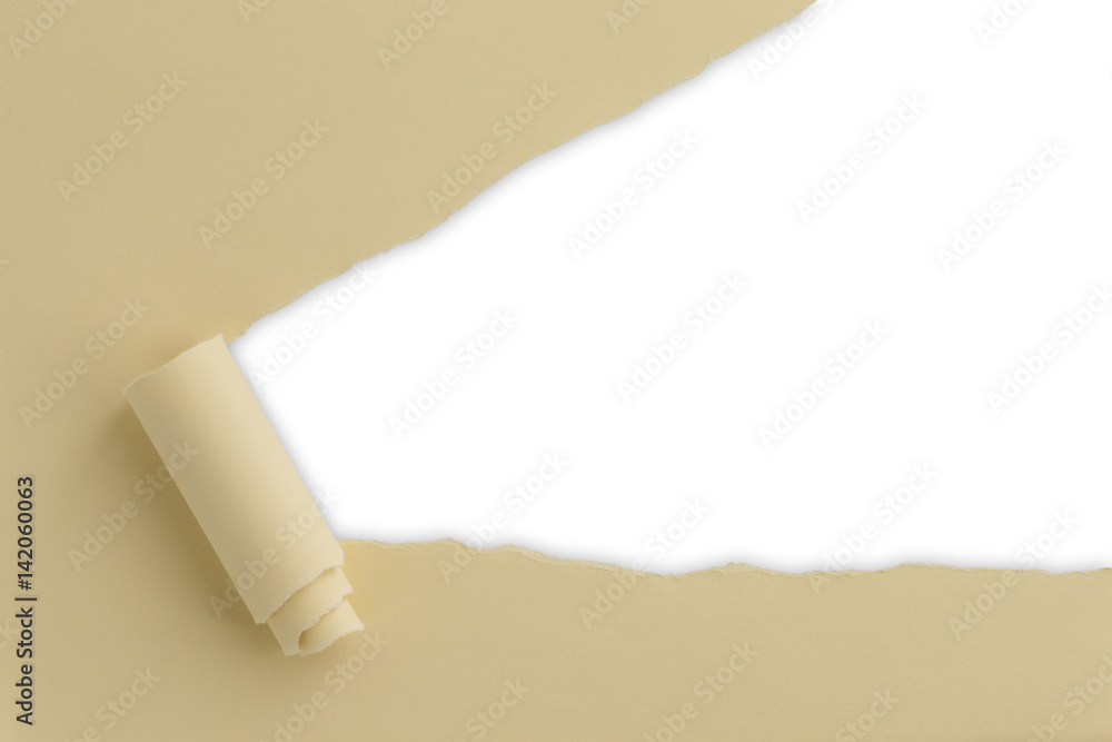 Torn paper white background Torn paper white background