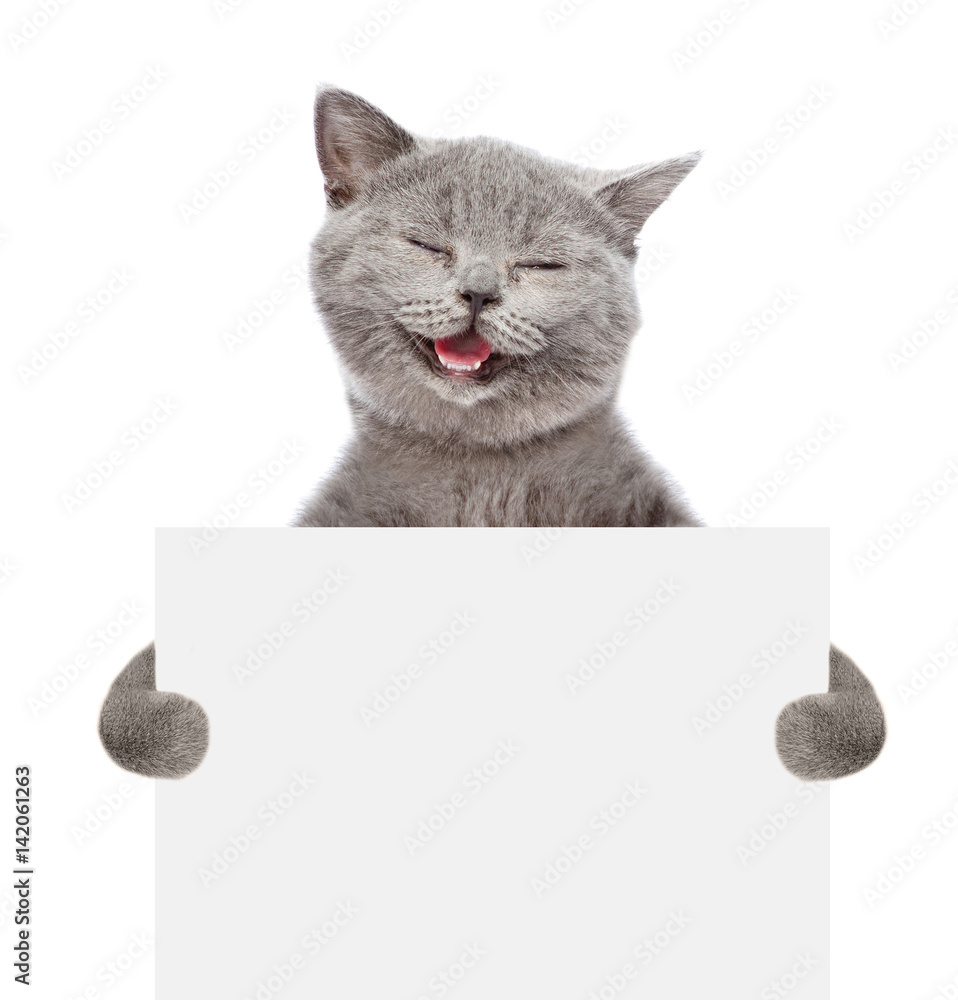 Smiling cat holding a white banner. isolated on white background - obrazy, fototapety, plakaty 