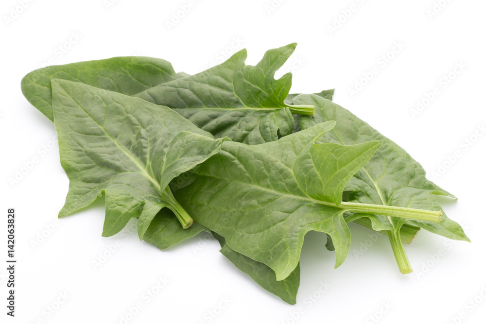 Fresh leaves of spinach on the white background. Fresh leaves of spinach on the white background.