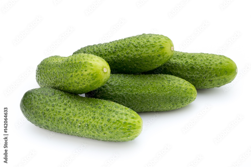 The first spring ecologically cucumbers. The first spring ecologically cucumbers.