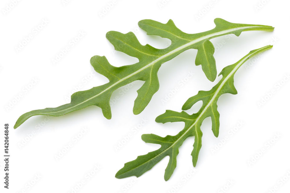 Close up studio shot of green fresh rucola isolated on white background. Close up studio shot of green fresh rucola isolated on white background.