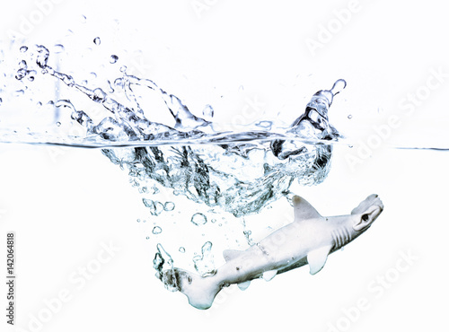 Toy Hammer shark splashing into water