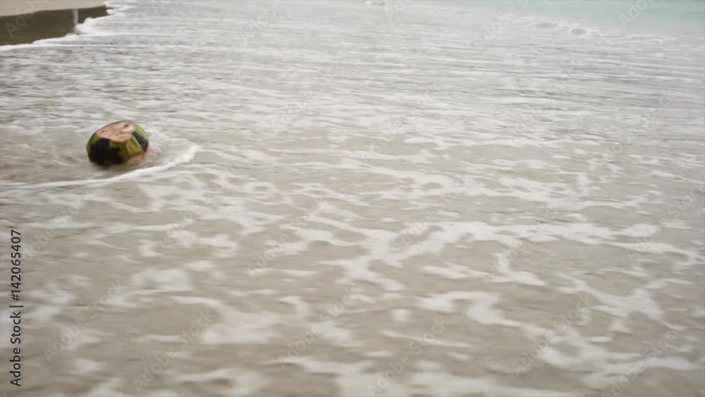 Left coconut fruit on an empty beach in the rain 4K Left coconut fruit on an empty beach in the rain 4K