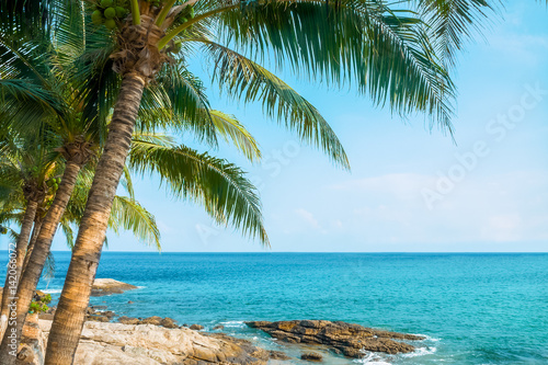 Palm trees on the rocky shore of the blue sea  © Windofchange64
