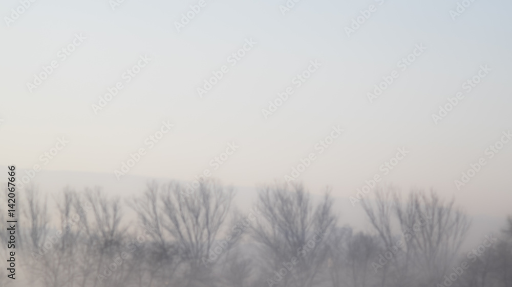 Foggy landscape on blue sky and winter tree branches Foggy landscape on blue sky and winter tree branches