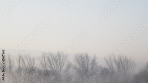 Foggy landscape on blue sky and winter tree branches