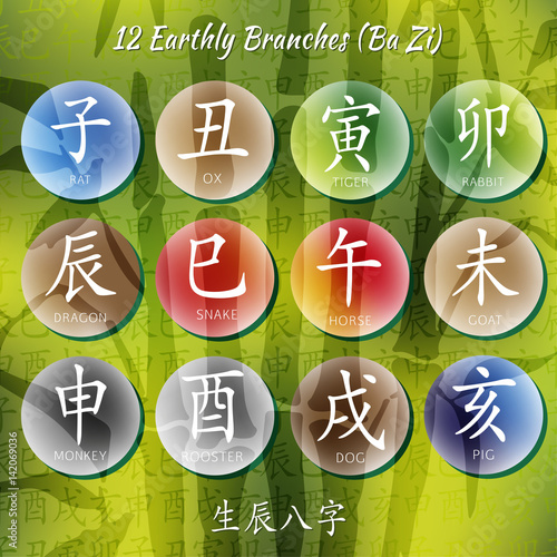 Set of chinese feng shui hieroglyphs. Translation of 12 zodiac animals, feng shui signs hieroglyph- Rat, Ox, Tiger, Rabbit, Dragon, Snake, Horse, Goat, Monkey, Rooster, Dog, Pig. Bamboo backgraund.