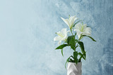 Beautiful white lilies on light background