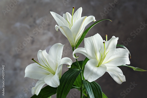 Beautiful white lilies on blurred background